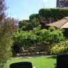 The Kimberley House Garden